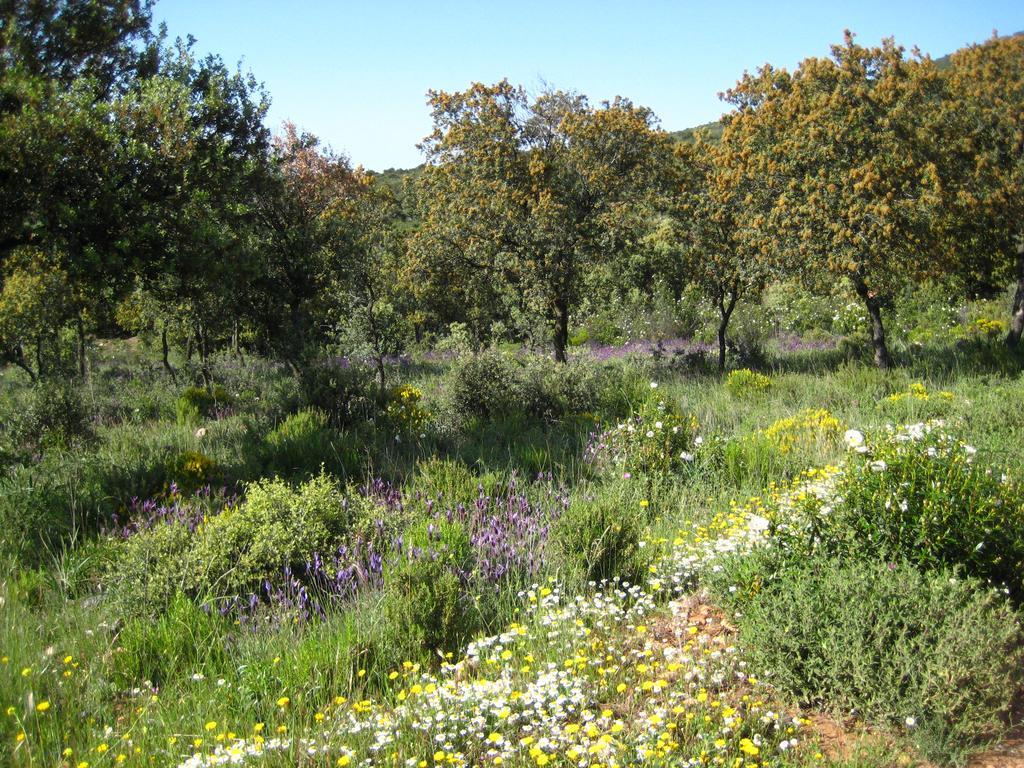 Los Laureles 2 Urda Eksteriør billede